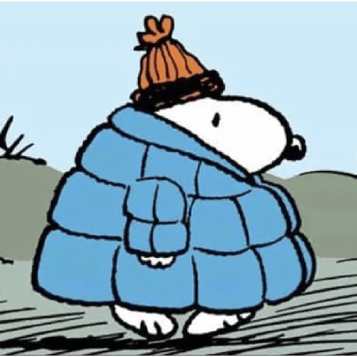 Snoopy 10