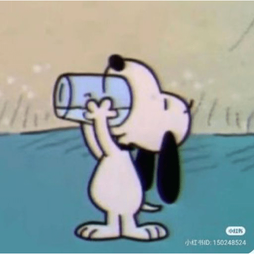 Snoopy 5