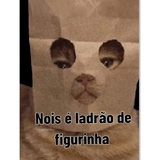 Memes 21