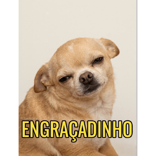 Memes 22