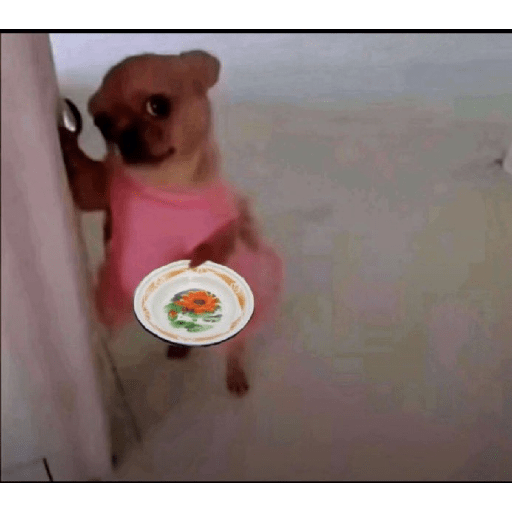 Memes 19