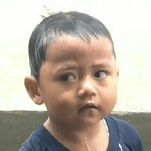 Sticker.ly Chat Stickers & Memes for WhatsApp