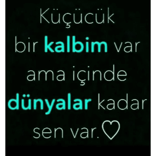 Çıkartmalarım 24