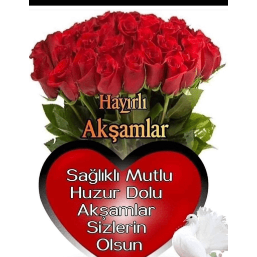 Çıkartmalarım 19