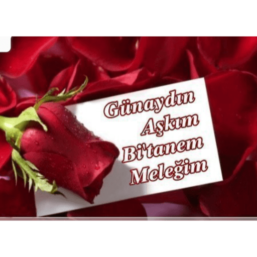 Çıkartmalarım 9