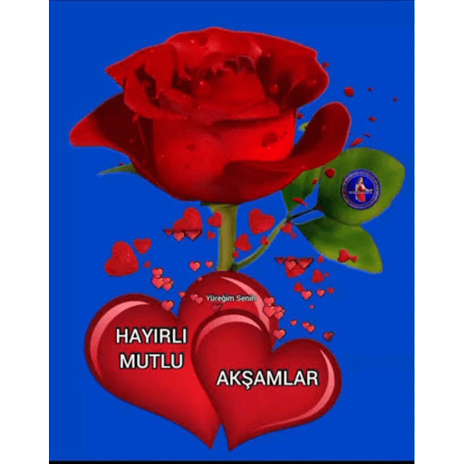 Çıkartmalarım 16