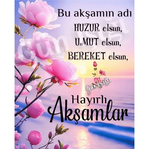 Çıkartmalarım 11