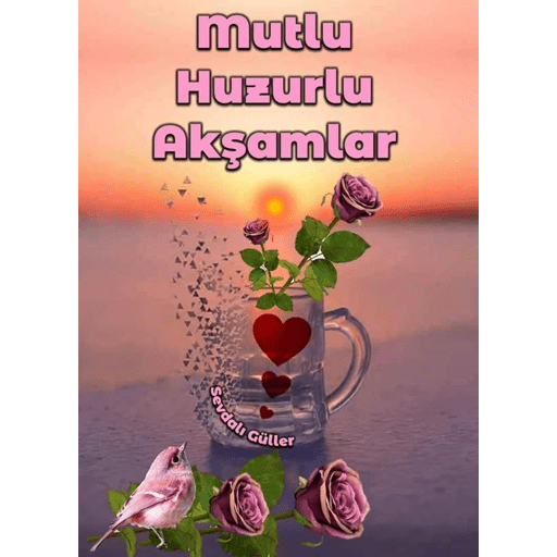 Çıkartmalarım 12