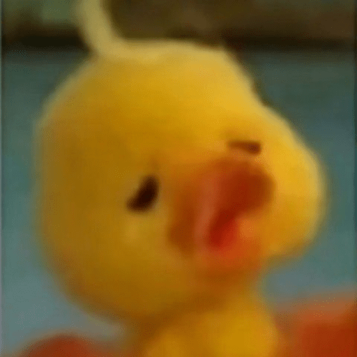 Pato | pato 21