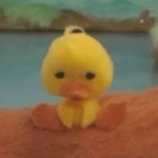 Pato | pato 2
