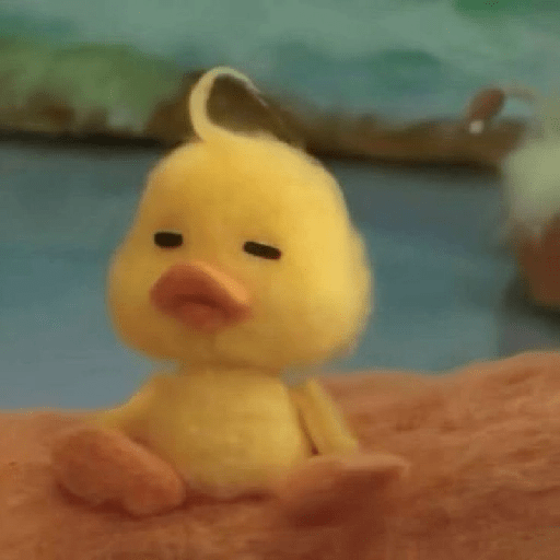 Pato | pato 3