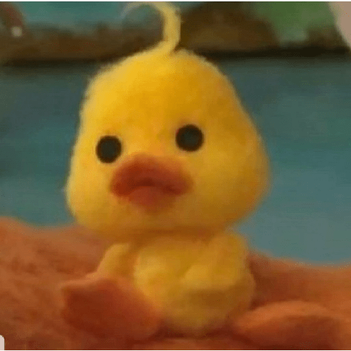 Pato | pato 4