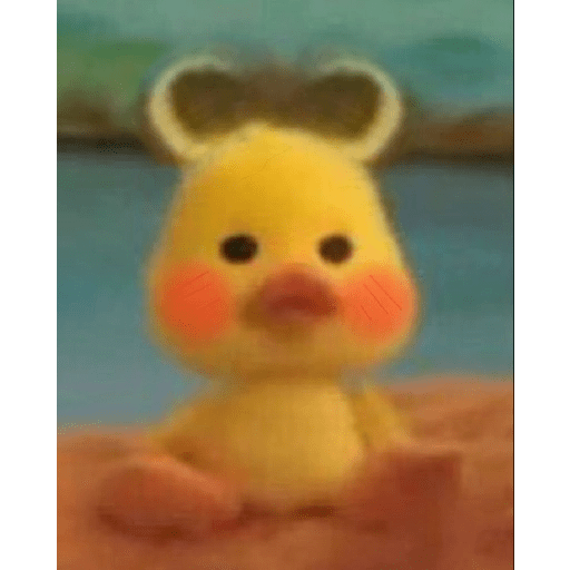 Pato | pato 6