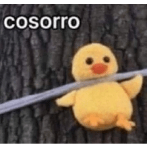 Pato | pato 10
