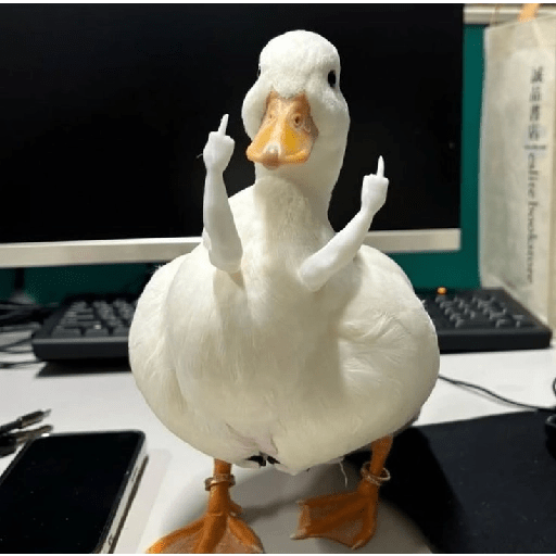 Pato | pato 11