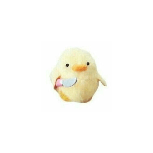 Pato | pato 13