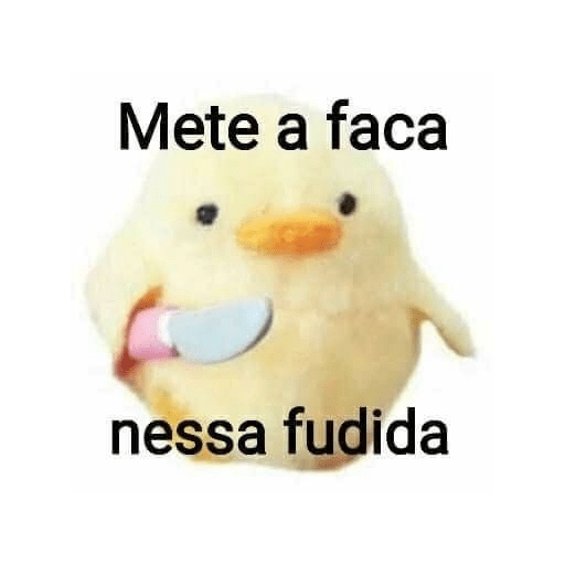 Pato | pato 16