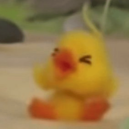 Pato | pato 20