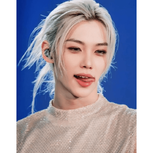 Stray Kids 💫 15