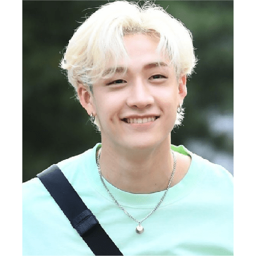Stray Kids 💫 14