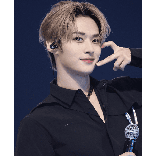 Stray Kids 💫 11