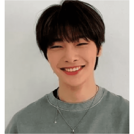 Stray Kids 💫 5
