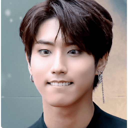 Stray Kids 💫 8