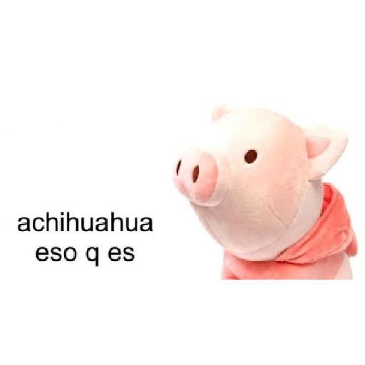 Frases 2 6