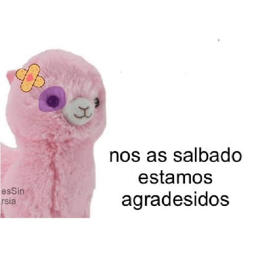 Frases 2 3