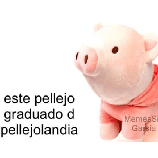 Frases 2 5