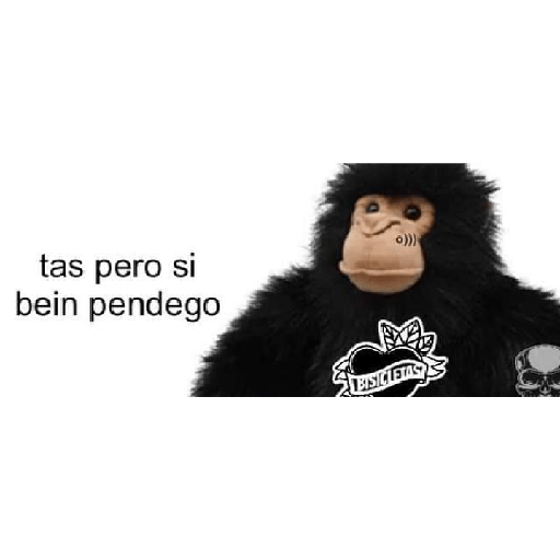 Frases 2 13