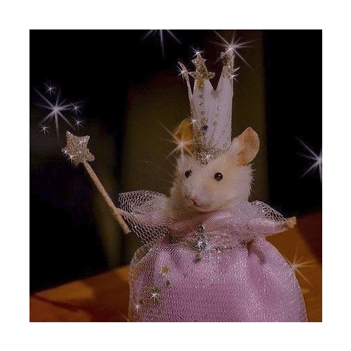 Hamster cute 1