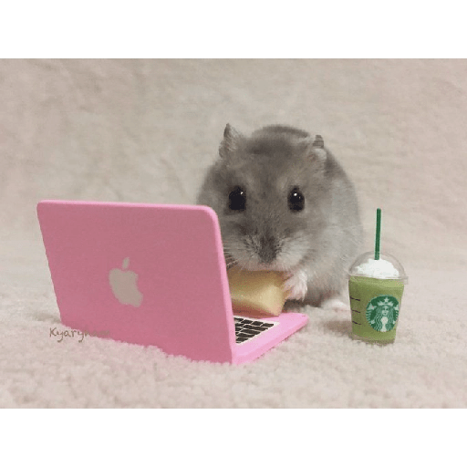 Hamster cute 3
