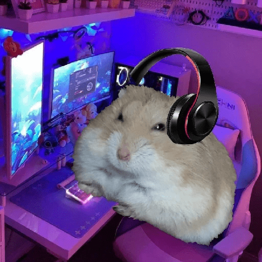 Hamster cute 17