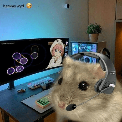 Hamster cute 7