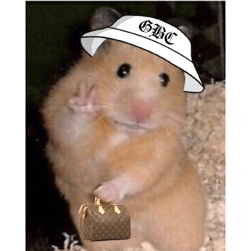 Hamster cute 18