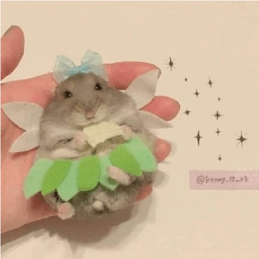 Hamster cute 22