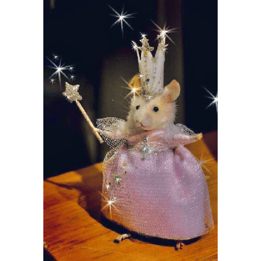 Hamster cute 23