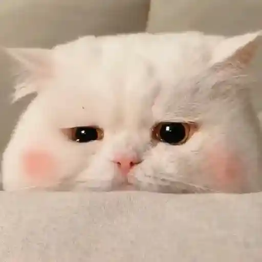 Terbayang bayangg 2