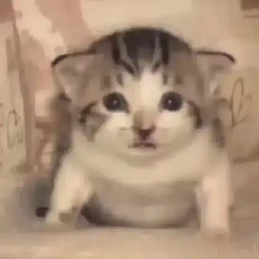 Terbayang bayangg 6