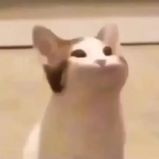 Terbayang bayangg 3