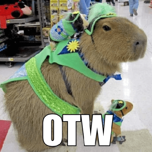 Capibara 1.0 2