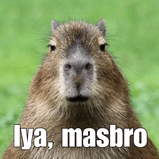 Capibara 1.0 3