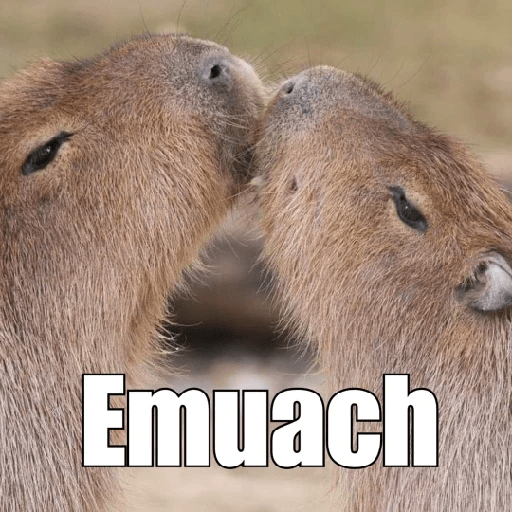 Capibara 1.0 4