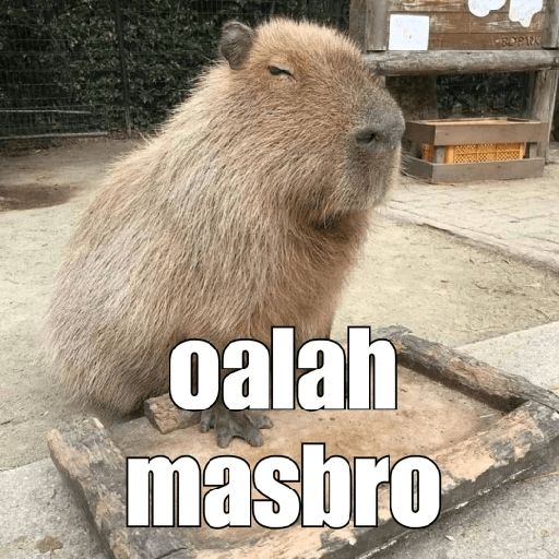 Capibara 1.0 5