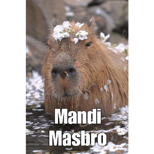 Capibara 1.0 7