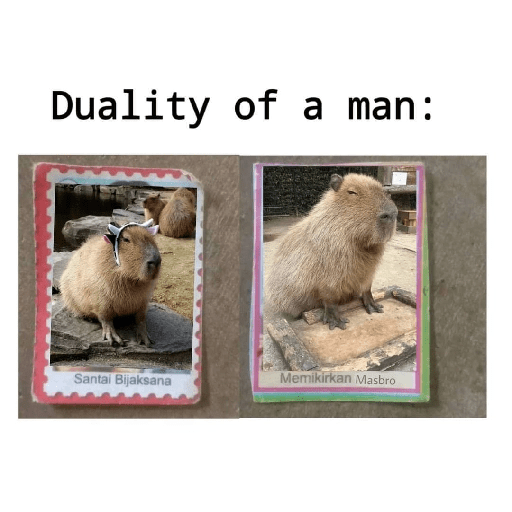 Capibara 1.0 8