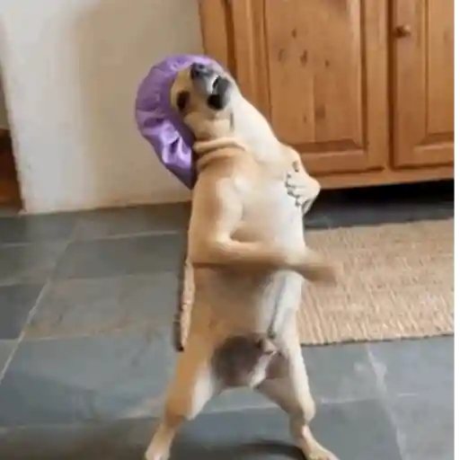 4.228