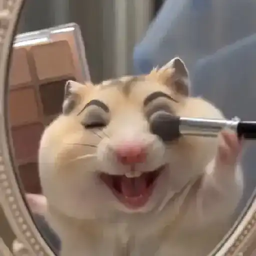Hamster Maquiando 🐹 TikTok 📱 5