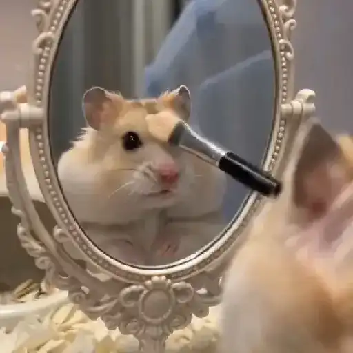 Hamster Maquiando 🐹 TikTok 📱 4